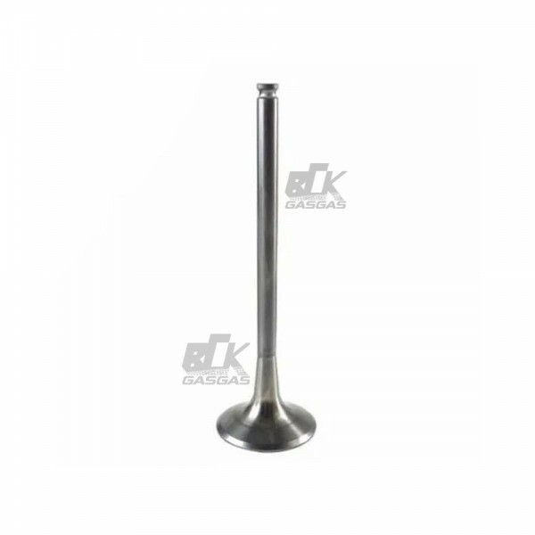 Valvula de Escape Gasgas / Husqvarna / KTM  - 77736031000